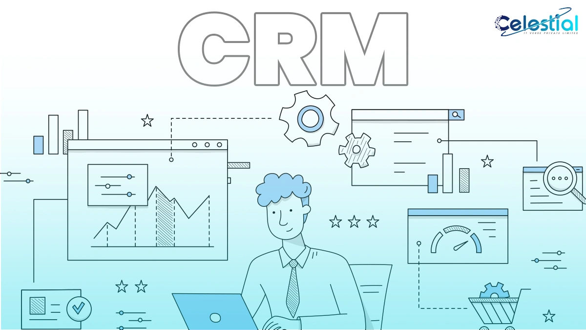 Why We Need Custom CRM – Celestial IT Verse Private Limited